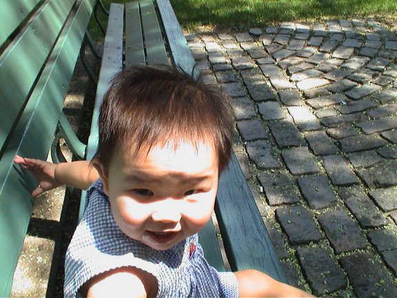 Elle on a park bench outside our building.